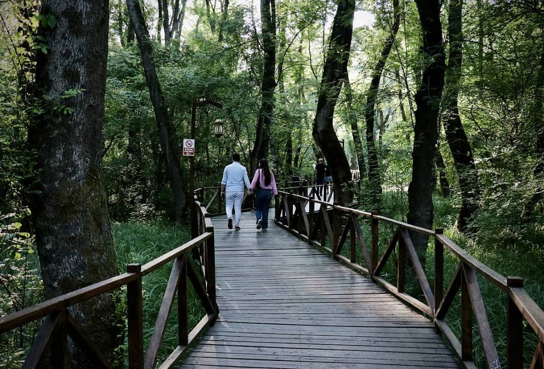 Vay be, Samsun'un böyle bir yeri varmış! Adeta cennetten bir köşe, gelip görmeye değer 3